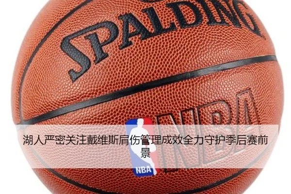 湖人严密关注戴维斯肩伤管理成效全力守护季后赛前景